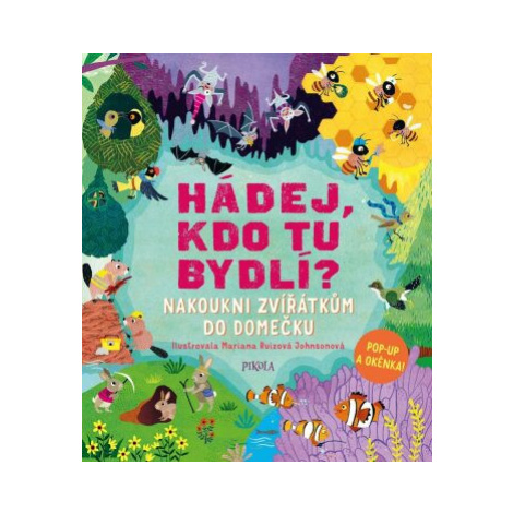 Hádej, kdo tu bydlí? - Ruth Symonsová PIKOLA