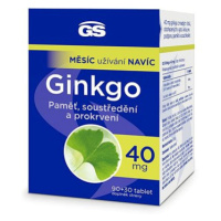 GS Ginkgo 40 mg, 90+30 tablet