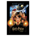 Umělecký tisk Harry Potter - Let the magic begin, 26.7 × 40 cm