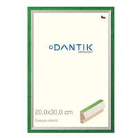 DANTIK rámeček 20 × 30, EVOQUE zelený sklo čiré