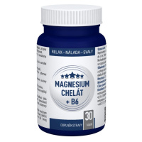 Clinical Magnesium chelát + B6 30 kapslí