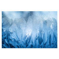 Ilustrace Icy glass natural pattern, GrishaL, 40 × 26.7 cm