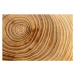 Fotografie Wooden cross section detail. Wood background., Mehmet Gkhan Bayhan, 40 × 26.7 cm