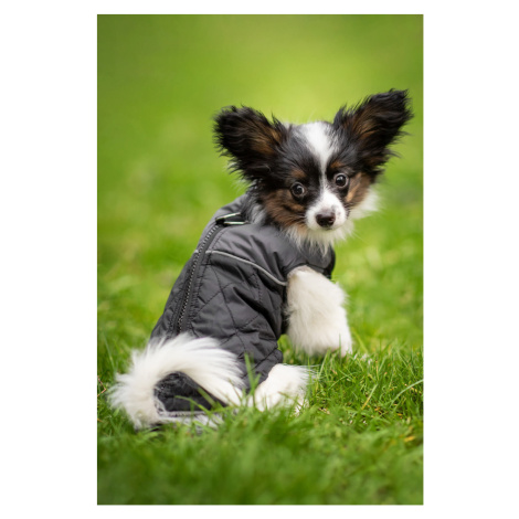 Vsepropejska Terenc obleček pro psa na zip Barva: Černá, Délka zad (cm): 30, Obvod hrudníku: 37 