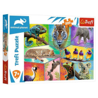 Trefl Puzzle Animal Planet: Svět exotických zvířat/200 dílků