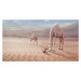 Fotografie Camels Trip, sulaiman almawash, 40 × 22.2 cm