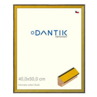 DANTIK rámeček 40 × 50, INCLINATA colori žlutý plexi čiré