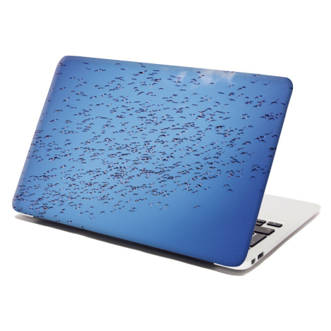 Samolepka na notebook Hejno ptáků - 38x26 cm