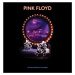 Pink Floyd - Delicate Sound Of Thunder (Remixed) (2 CD)