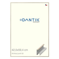 DANTIK rámeček 42 × 59,4, ALU profil 6030 Dýha slovnový kost plexi čiré