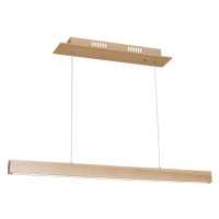 LED Lustr na lanku TIMBER LED/18W/230V