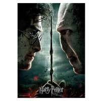 Puzzle Harry Potter - Harry vs Voldemort, 1000 dílků