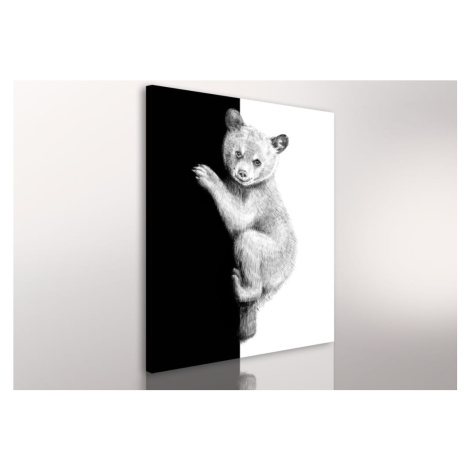 Obraz na plátně TEDDY BEAR různé rozměry Ludesign ludesign obrazy: 100x80 cm