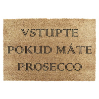 Rohožka z kokosového vlákna 40x60 cm Prosecco – Artsy Doormats