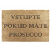 Rohožka z kokosového vlákna 40x60 cm Prosecco – Artsy Doormats