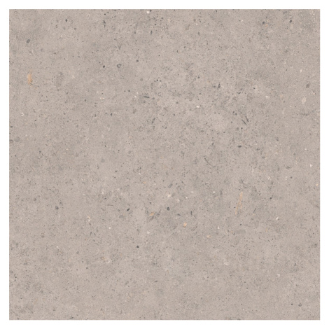 Dlažba Pastorelli Biophilic grey 60x60 cm mat P009459