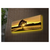 Hanah Home Obraz s led osvětlením Ledda Tree 90x30 cm