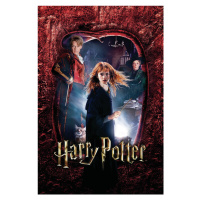 Umělecký tisk Harry Potter - Hermione Granger, 26.7 × 40 cm