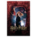 Umělecký tisk Harry Potter - Hermione Granger, 26.7 × 40 cm