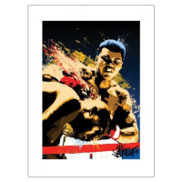 Umělecký tisk Muhammad Ali - Sting, (60 x 80 cm)