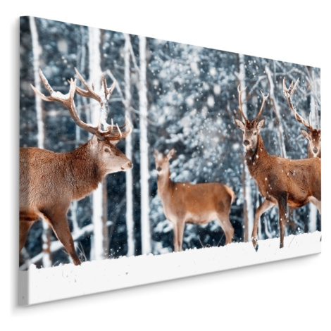 MyBestHome BOX Plátno Stádo Jelenů V Zimním Lese Varianta: 100x70