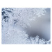 Fotografie Frosted glass texture background, TorriPhoto, 40 × 30 cm