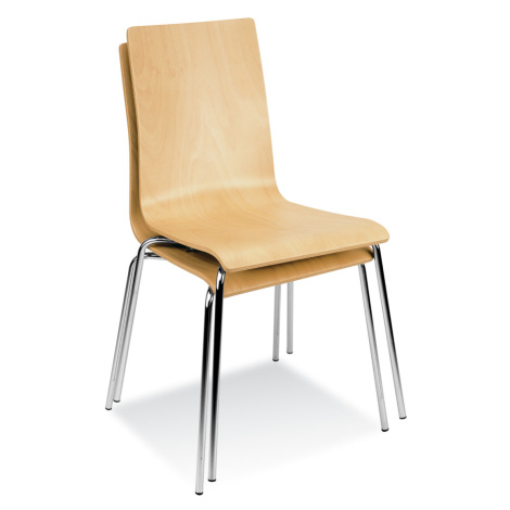 Nowy Styl Latte (Cafe VII) židle bukové dřevo