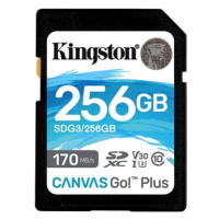 Kingston SDXC 256GB Canvas Go! Plus