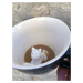 Hrnek KOČKA - protahující se, 325 ml - Creature Cups