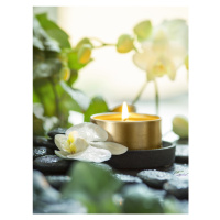 Fotografie Zen Orchid and Candle, 1x, 30 × 40 cm