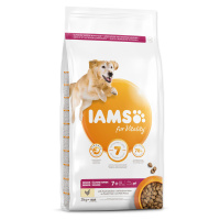 IAMS Dog Senior Large Chicken 3 kg