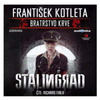 Stalingrad - František Kotleta