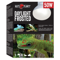 Žárovka REPTI PLANET Daylight Frosted 50 W