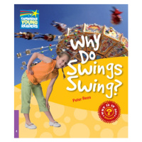 Cambridge Factbooks 4 Why Do Swings Swing? Cambridge University Press