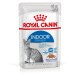 Royal Canin Indoor Sterilized Jelly - vlhké krmivo v želé pro dospělou kočku chovanou v bytě 12 