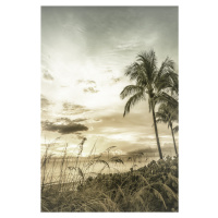 Umělecká fotografie BONITA BEACH Bright Vintage Sunset, Melanie Viola, (26.7 x 40 cm)