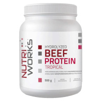 NutriWorks Hydrolyzed Beef Protein 500g - tropické ovoce