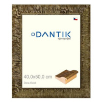 DANTIK rámeček 40 × 50, Dora Gold plexi čiré