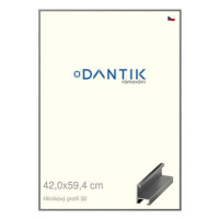 DANTIK rámeček 42 × 59,4, ALU profil 6030 Ocelový plexi čiré