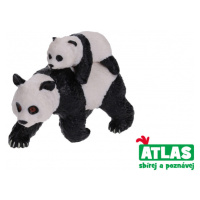 Atlas C Panda s mládětem 8 cm