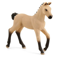 Schleich 13929 hříbě hannoverské