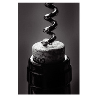 Fotografie Wine 002 Baw, Studio Collection, 26.7 × 40 cm