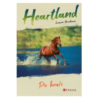 Heartland: Po bouři CPRESS
