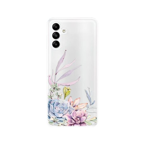 iSaprio Succulent 01 pro Samsung Galaxy A04s