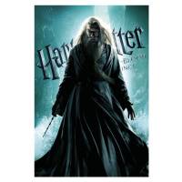 Umělecký tisk Harry Potter and The Half-Blood Prince - Dumbledore, 26.7x40 cm