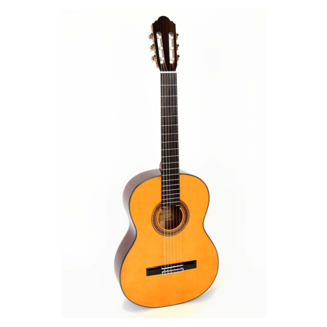 PABLO VITASO VCG-40S - Klasická kytara