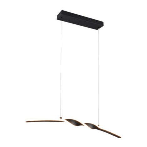Reality Ginko závěsné světlo černá r35791132 RER35791132