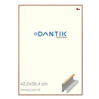 DANTIK rámeček 42 × 59,4, ALU profil 6030 Dýha dub lak matný plexi čiré