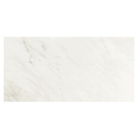 Dlažba Graniti Fiandre Marble Lab Premium White 60x120 cm pololesk AS191X864