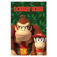 Plakát, Obraz - Nintendo - Donkey Kong And Diddy Kong